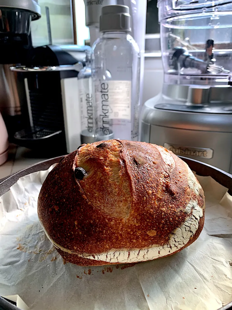 Snapdishの料理写真:Cranberry Sourdough (pic 1)|gonbenさん