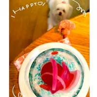 Snapdishの料理写真:♪紫玉ねぎとミニトマトのリンゴ酢ピクルス|caocaorinpanさん