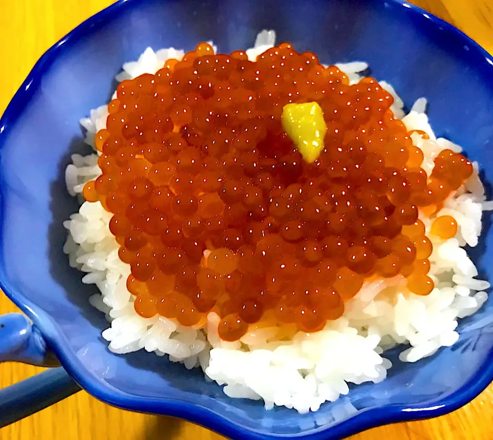 ます子の醤油漬け丼|Daikiさん