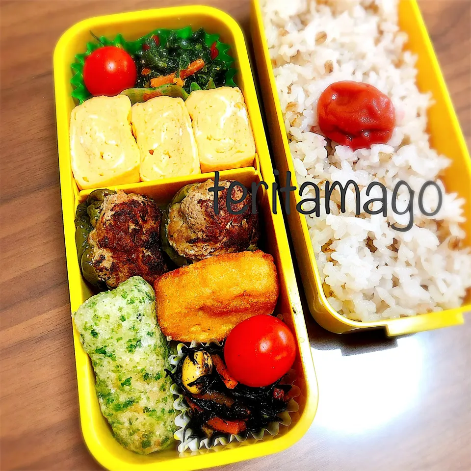 お弁当|teritamagoさん