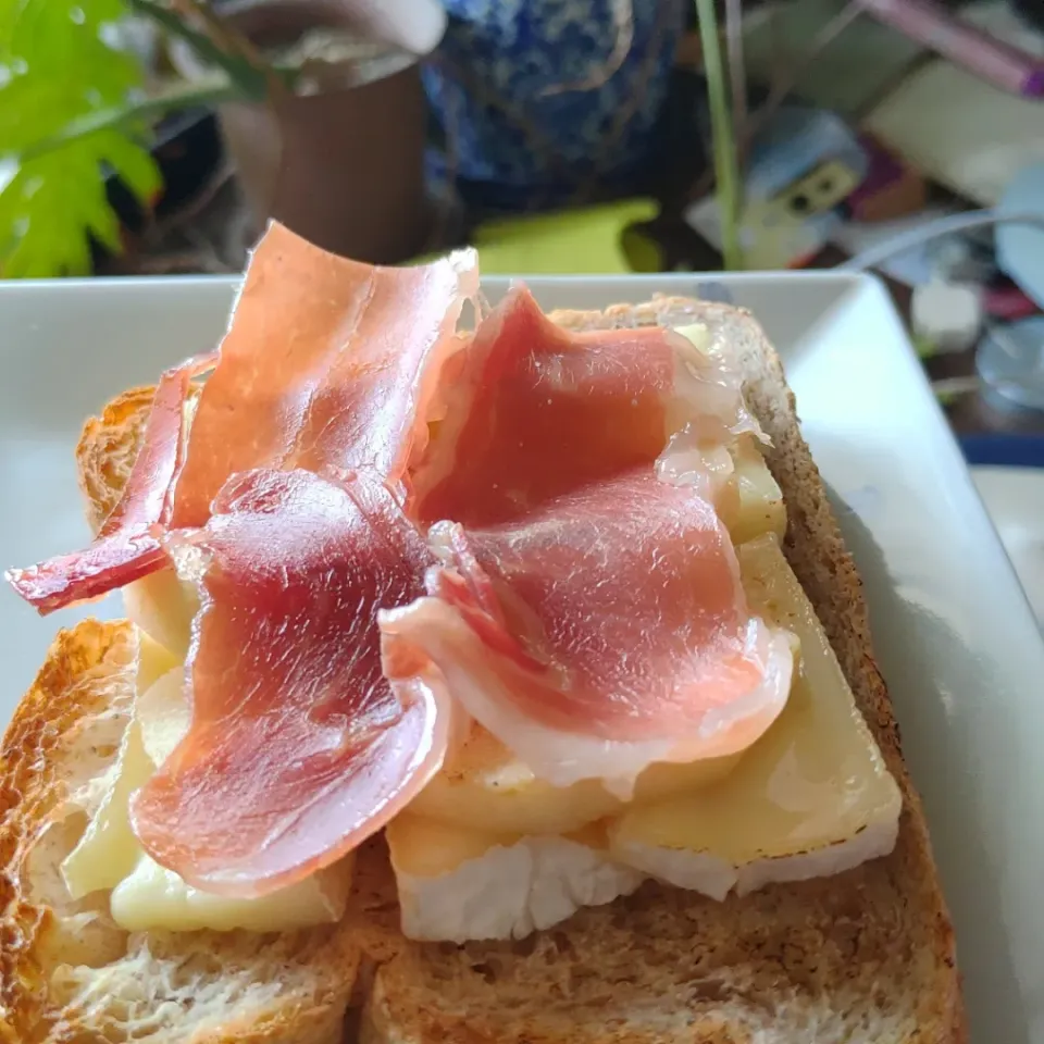 Camembert cheese, apple, and jamon serrano on homebaked whole wheat bread. カマンベールチーズ、リンゴ、ハモンセラーノを載せた自家製全粒粉パンのトースト。|Funky Chefさん