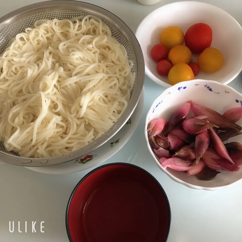 お昼ご飯|まめさん