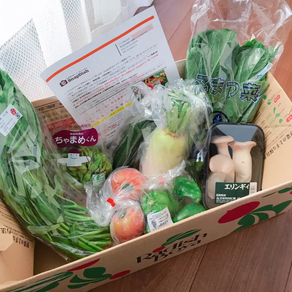 SnapDish様、らでぃっしゅぼーや様有難うございます🙏🥰🎁🍅🥒🥬|めぐぐさん