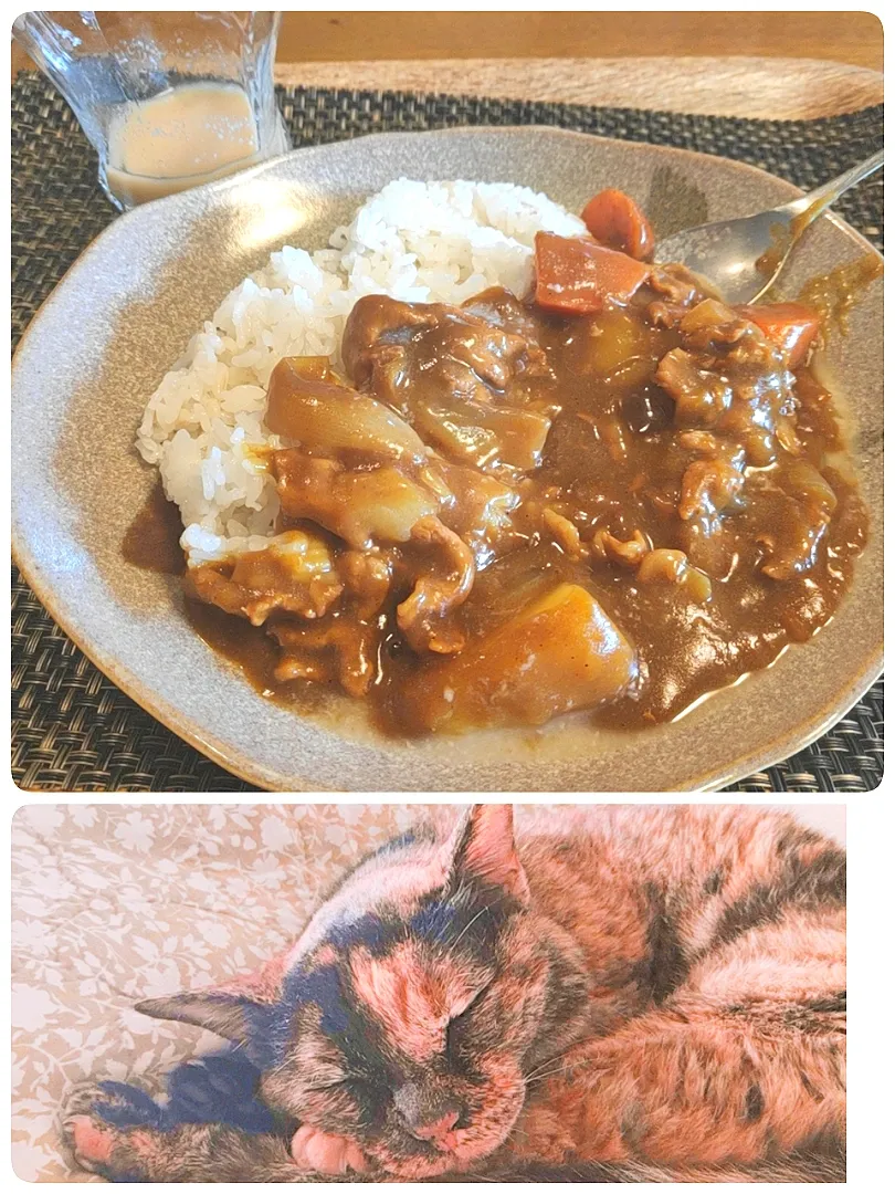 Snapdishの料理写真:8/8  糀甘酒第2弾  カレーライス|ポチ子さん