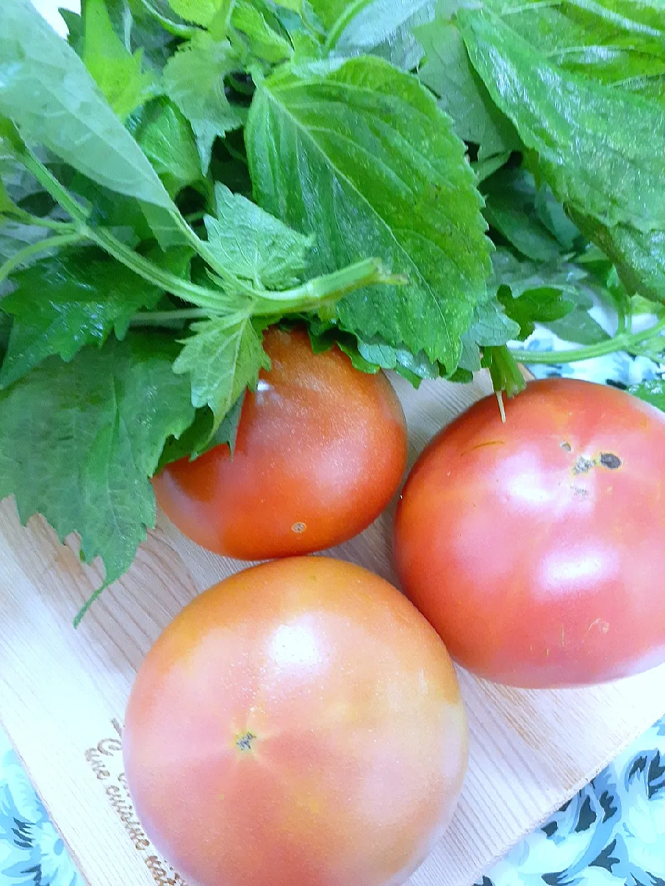 🔷農家さんの朝採り野菜🍅🍀🤔🙄🔷|@きなこさん