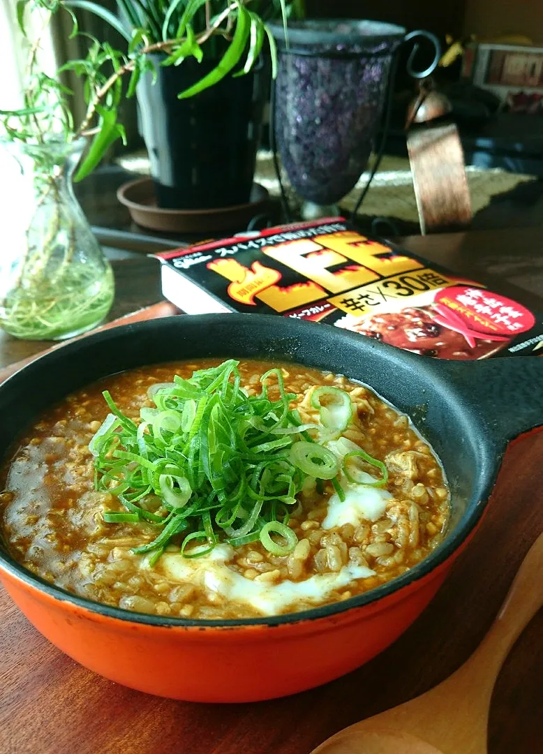 納豆ｶﾚｰ雑炊|まりおさん