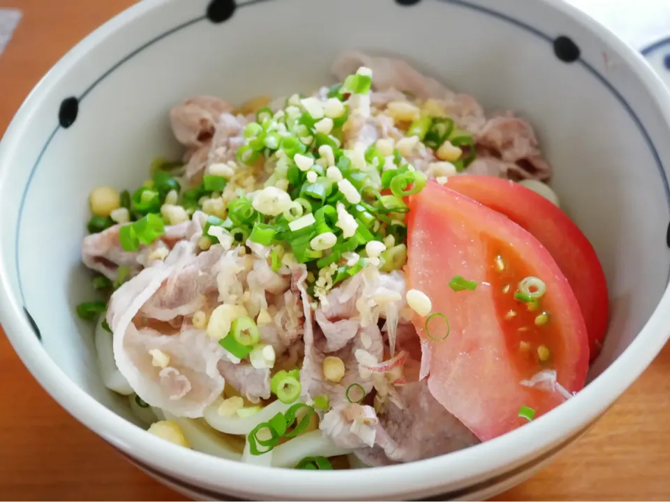 20/08/04 ランチ♪ 冷しゃぶうどん|ikukoさん