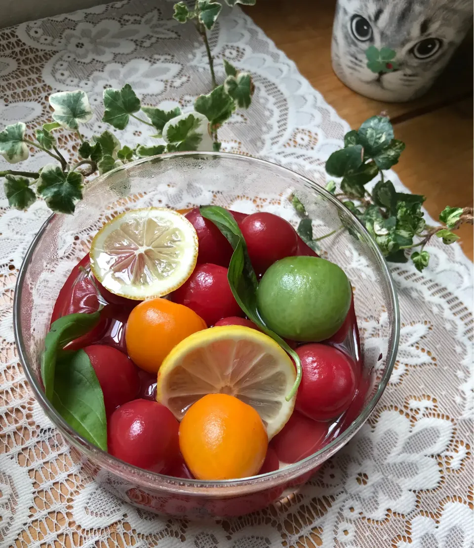 🍅🍃我が家の冷蔵庫は只今トマト王国❣️プチトマト 🍅コンポートはバジルとレモンの香り🍋🍃|Hollyさん