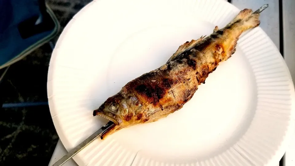 2020 8月10日　鮎塩焼き(炭火焼き)|あけみさん