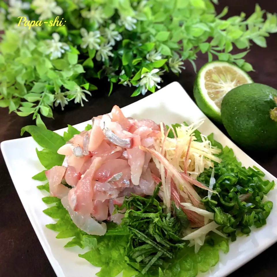 Snapdishの料理写真:薬味たっぷり！カイワリの青唐たたき^_^|パパ氏さん