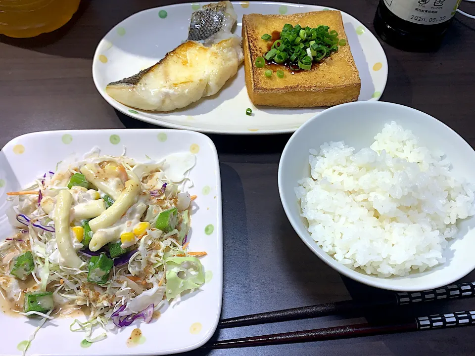 今日の夜ご飯|(ノ◕ω◕)ノ➰(せが)さん