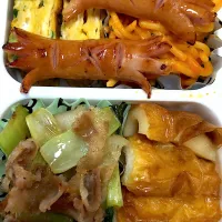 今日の弁当|nanaさん