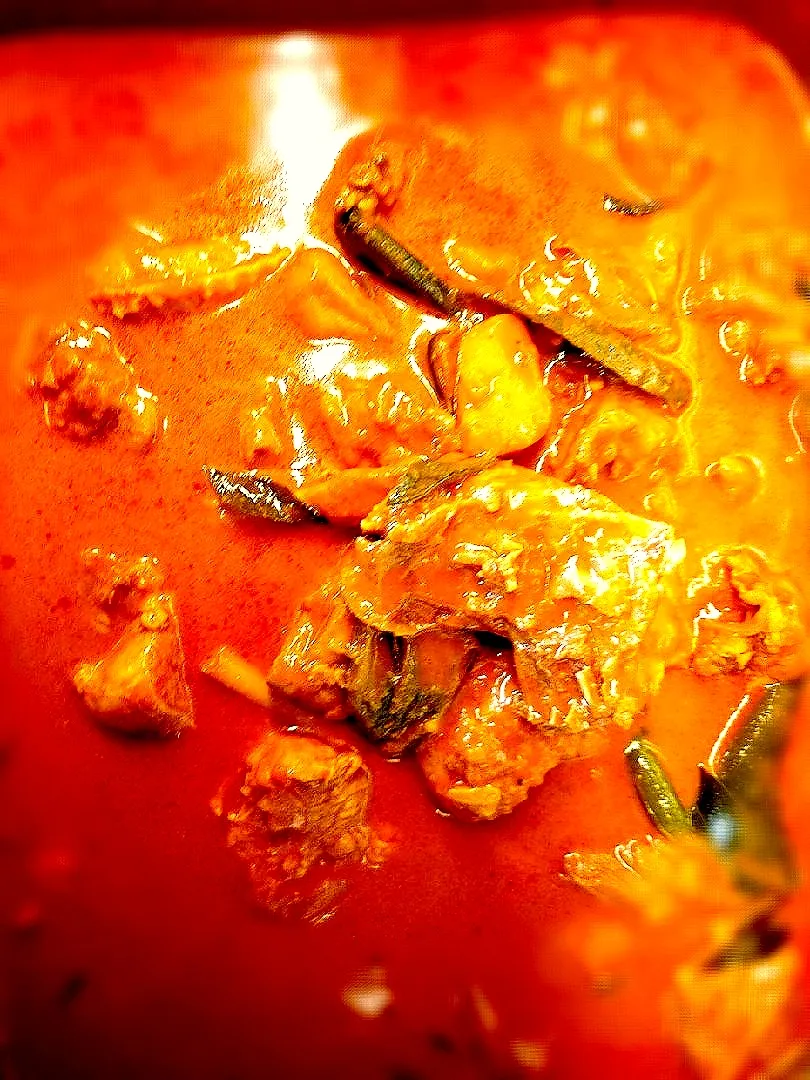 Snapdishの料理写真:Chicken Curry|Aru Haeyrishさん