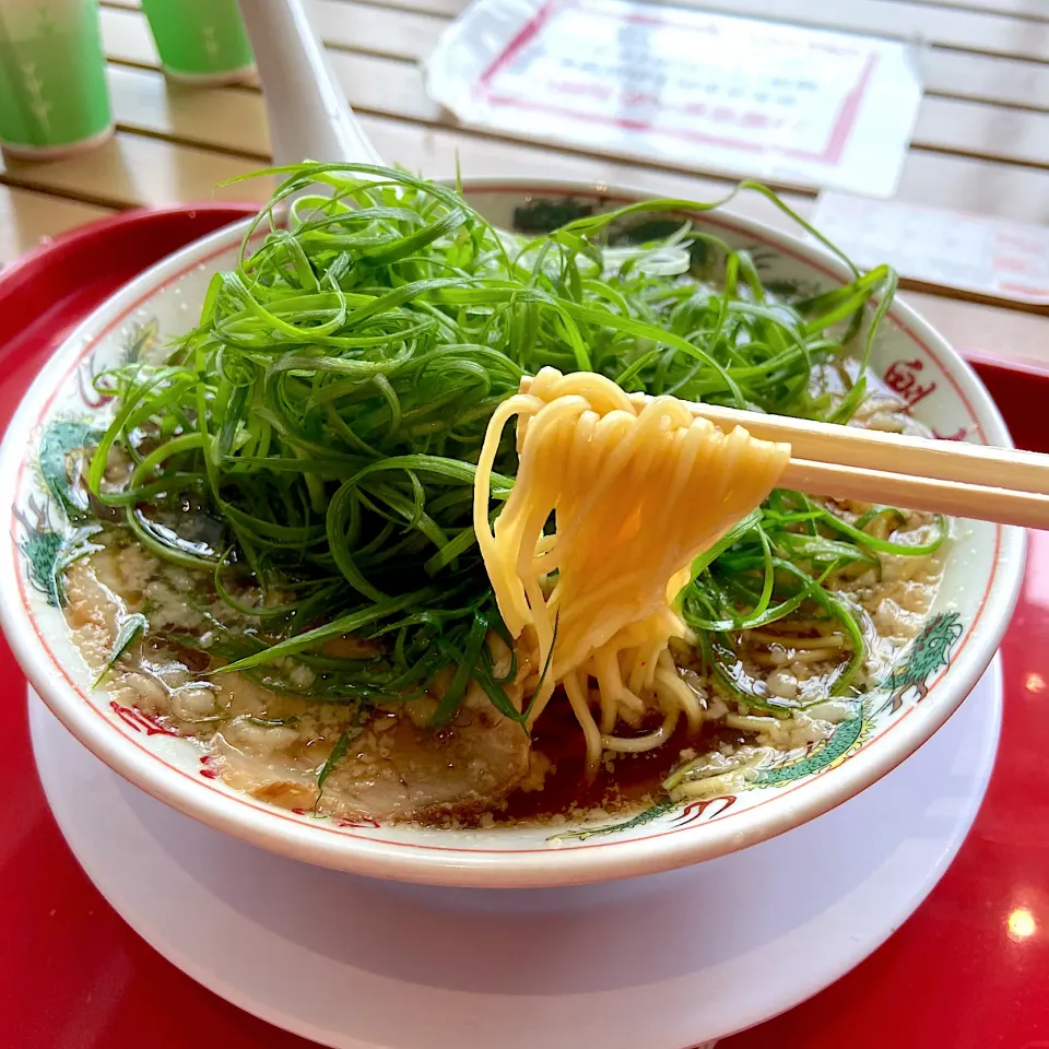 Snapdishの料理写真:九条ねぎ醤油ラーメン|林とびぃさん