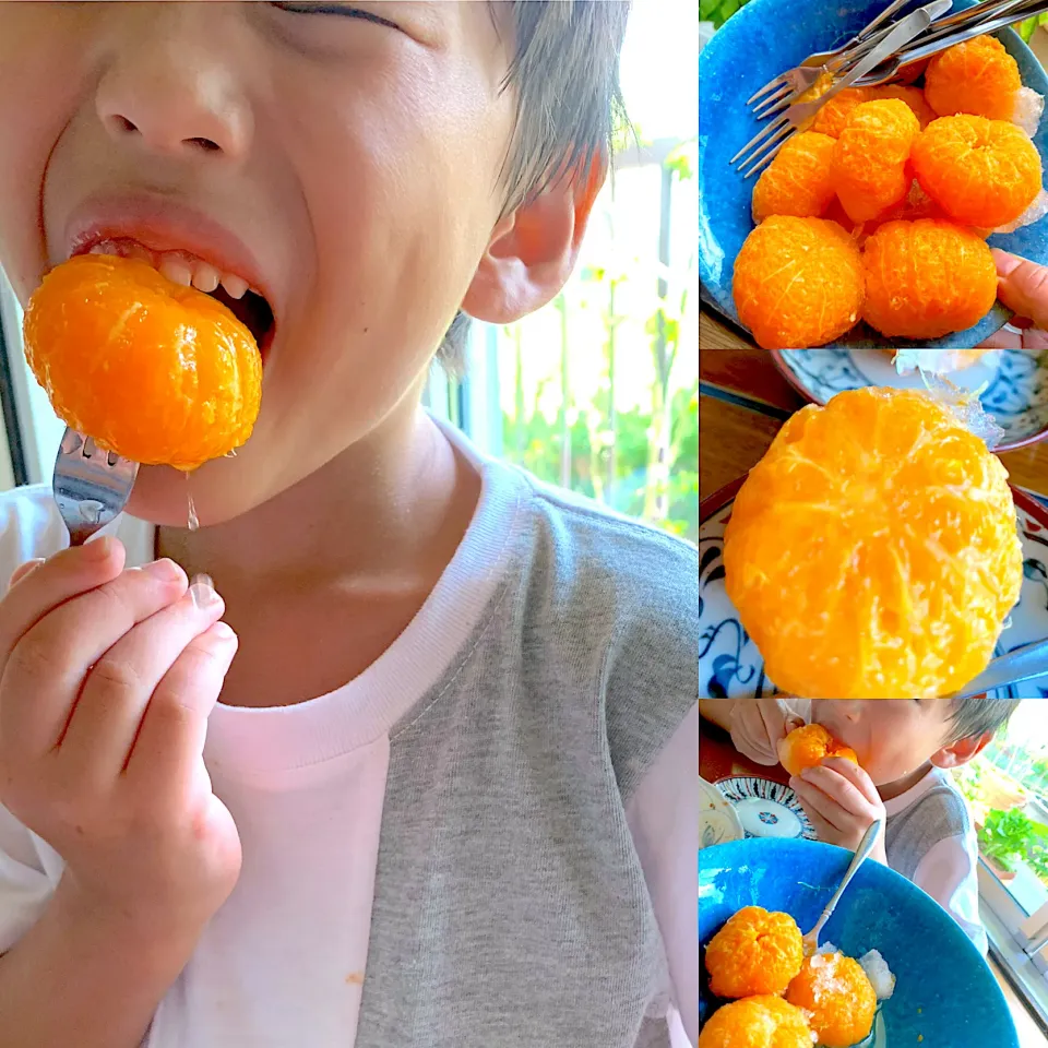 丸ごとみかんのシロップ漬け 冷凍みかん解凍は 夏の暑い日|シュトママさん