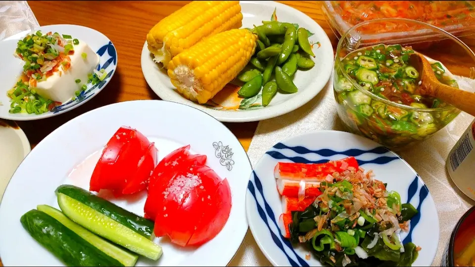 Snapdishの料理写真:夏野菜で夕食
らでぃっしゅぼーやのおためし便で|卯月さん