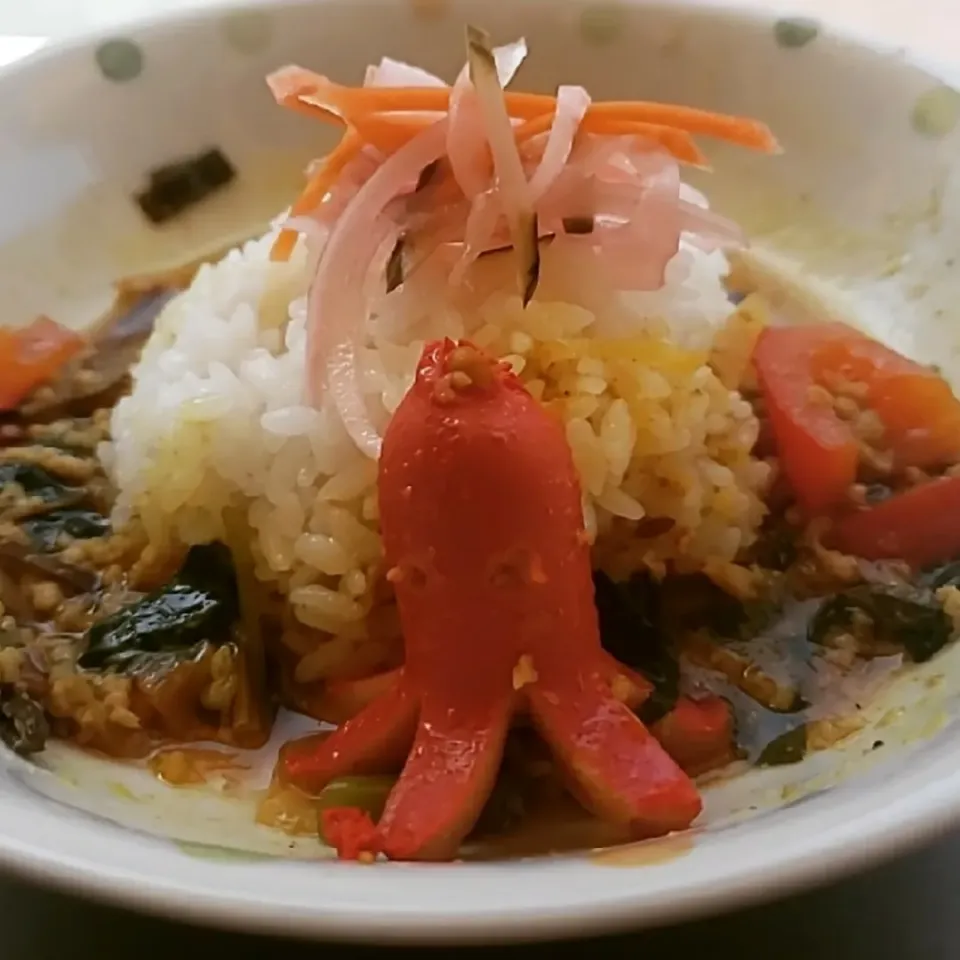 空芯菜と赤パプリカのポークキーマカレーwithタコさんウインナー🐙|ふじわらたくやさん