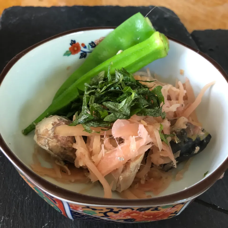 おかちさんの料理 鯖缶とスシガリ和え🍀|佐野未起さん