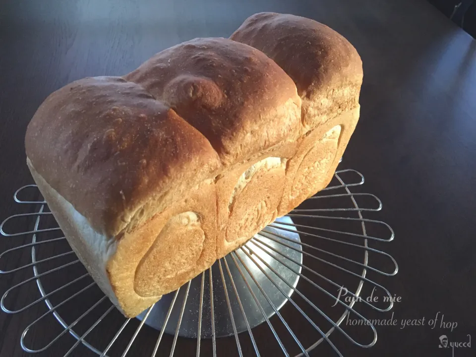 ホップ種 de 山食🍞                              黄昏てます....|yucca@さん