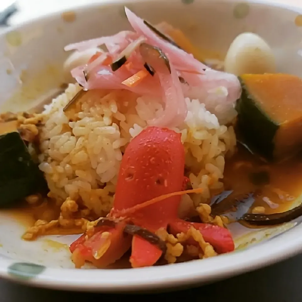 かぼちゃの味噌入りチキンキーマカレーwithタコさんウインナー🐙|ふじわらたくやさん