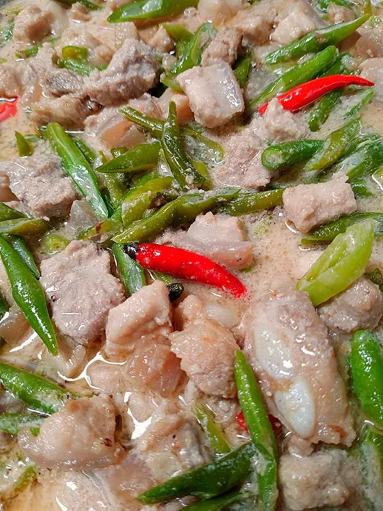 Special Bicol Express|Quinn Marielさん