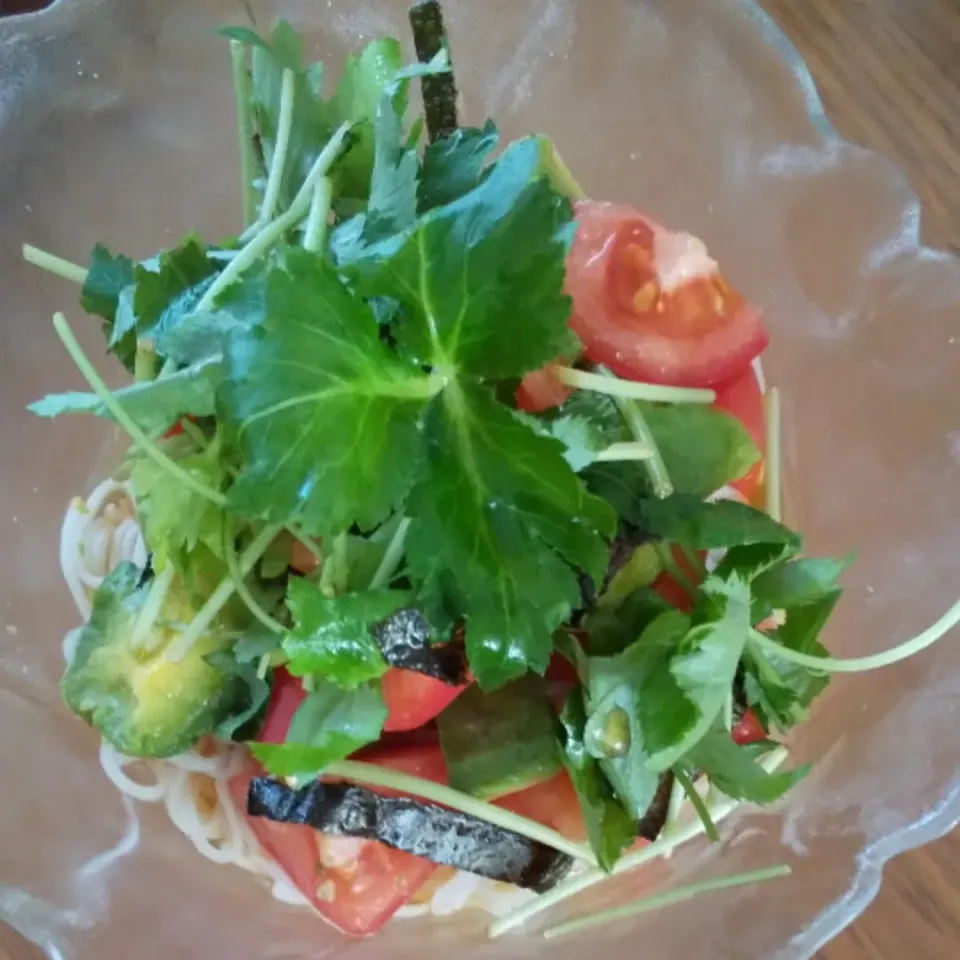 トマトとアボカドの素麺🍅🥑|けーこさん