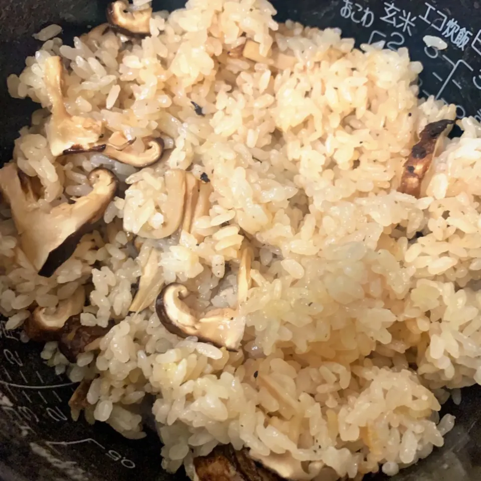 一足先に松茸ごはん🍚|HALさん