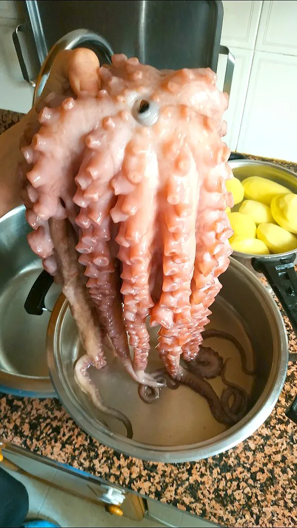 Snapdishの料理写真:Pulpo antes de cocer|David Fueyoさん