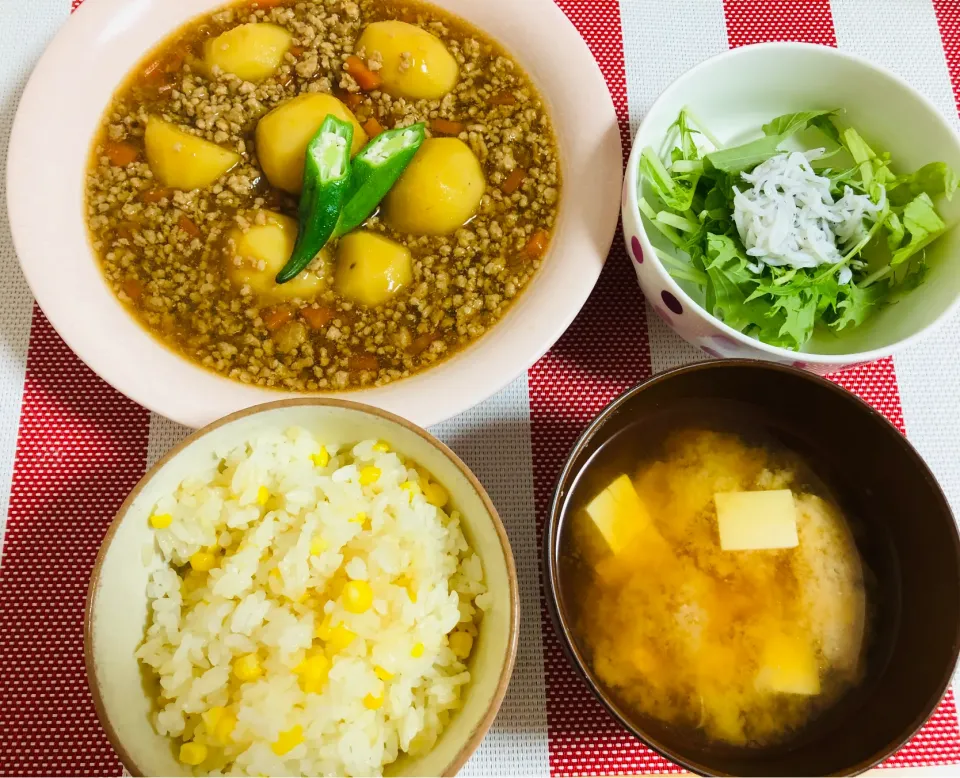 Snapdishの料理写真:【挽肉しかない‼️】ひき肉じゃが　とうもろこしごはん|飛鳥さん