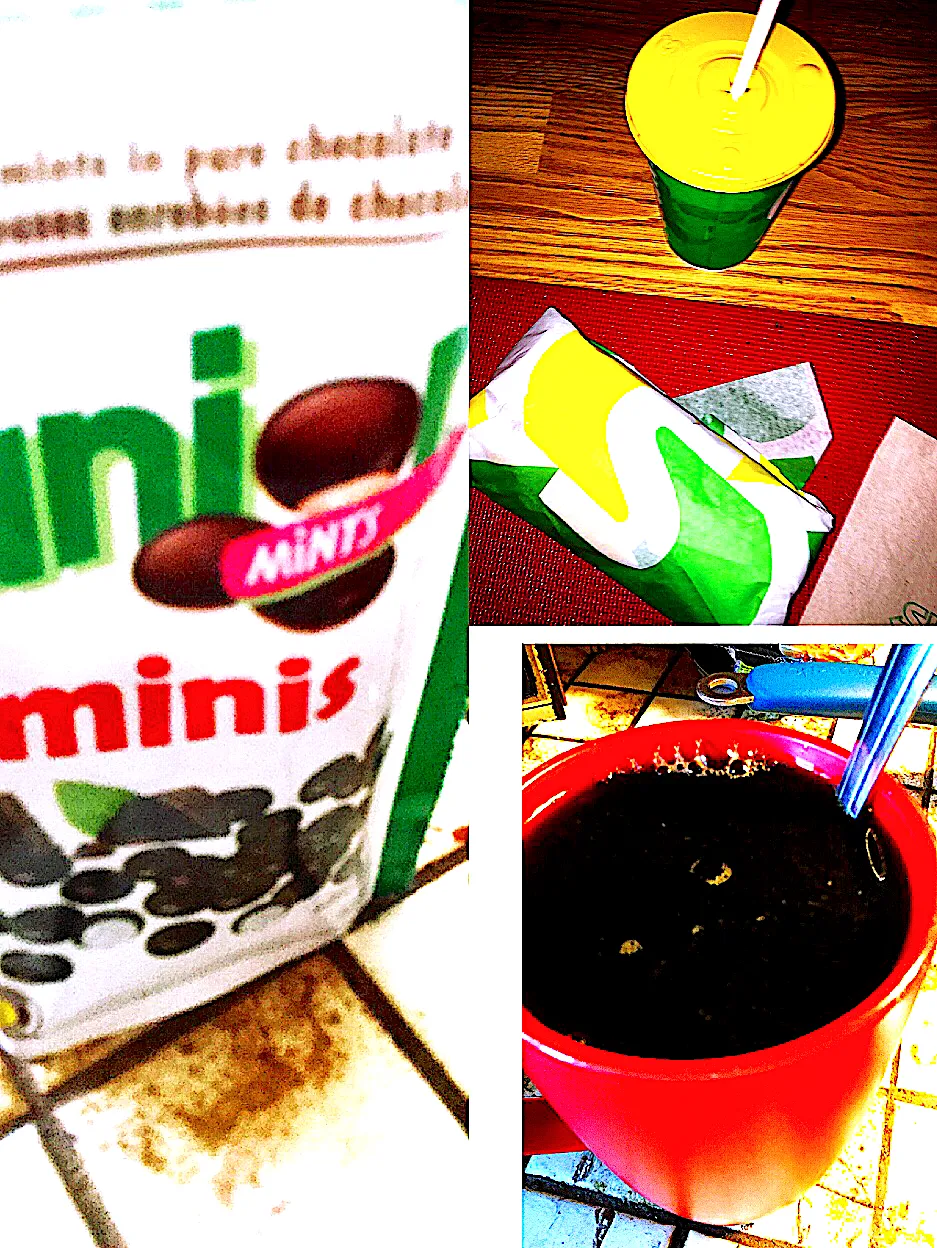 I got subway,junior mints snack to go,and a coffee with chocolate|ninja kittyさん