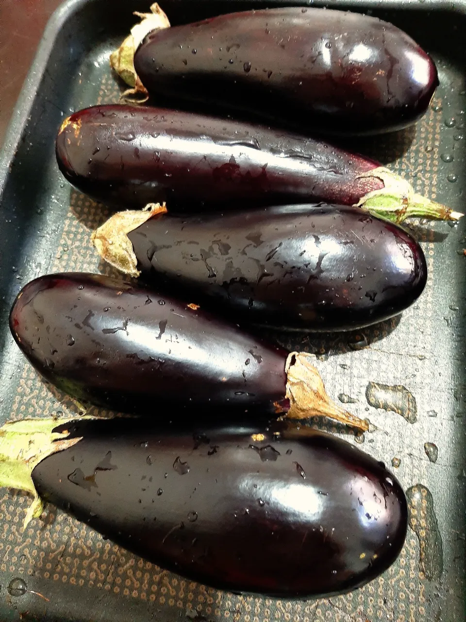 Eggplant|José Antônio De Carvalhoさん