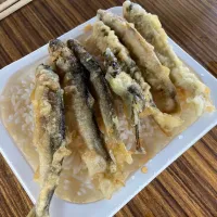 Snapdishの料理写真:釣場めし）小鮎の天丼|ぬう太郎さん