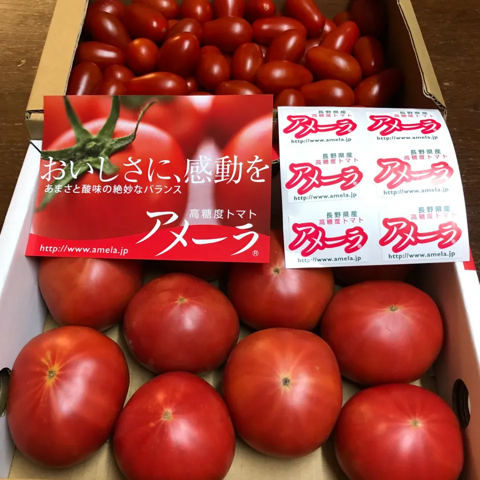 アメーラ🍅|henryさん