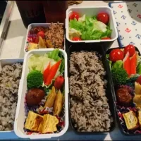 Snapdishの料理写真:ある日のお弁当10|マナケンかあちゃんさん