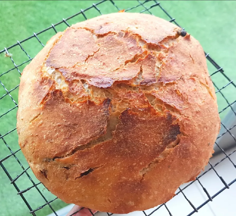 Snapdishの料理写真:morning bakes sourdough with raisins.|Elaine Tanさん