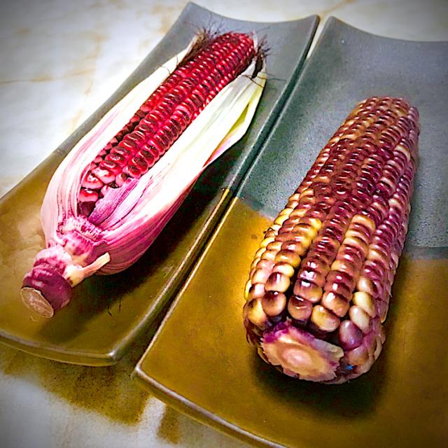 紫もちとうもろこし もちきび 沖縄産
