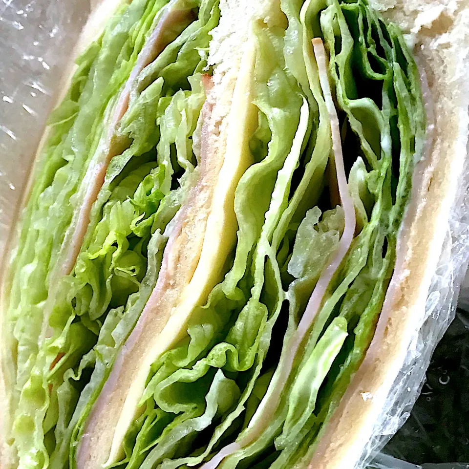 た〜っぷりレタスのハムチーズサンドイッチ　Ham cheese and so plenty lettuces of sandwich. It’s so crunchy and crispy |ノムリエさん