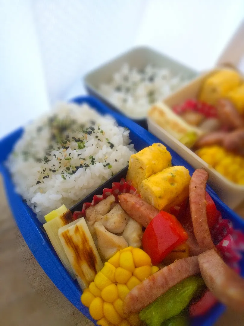 今日のお弁当20200818|和泉の元気パパさん