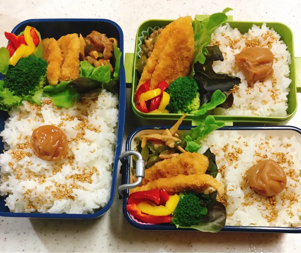 今日のお仕事＆学校弁当♪2020.8.19|ぐぅさん