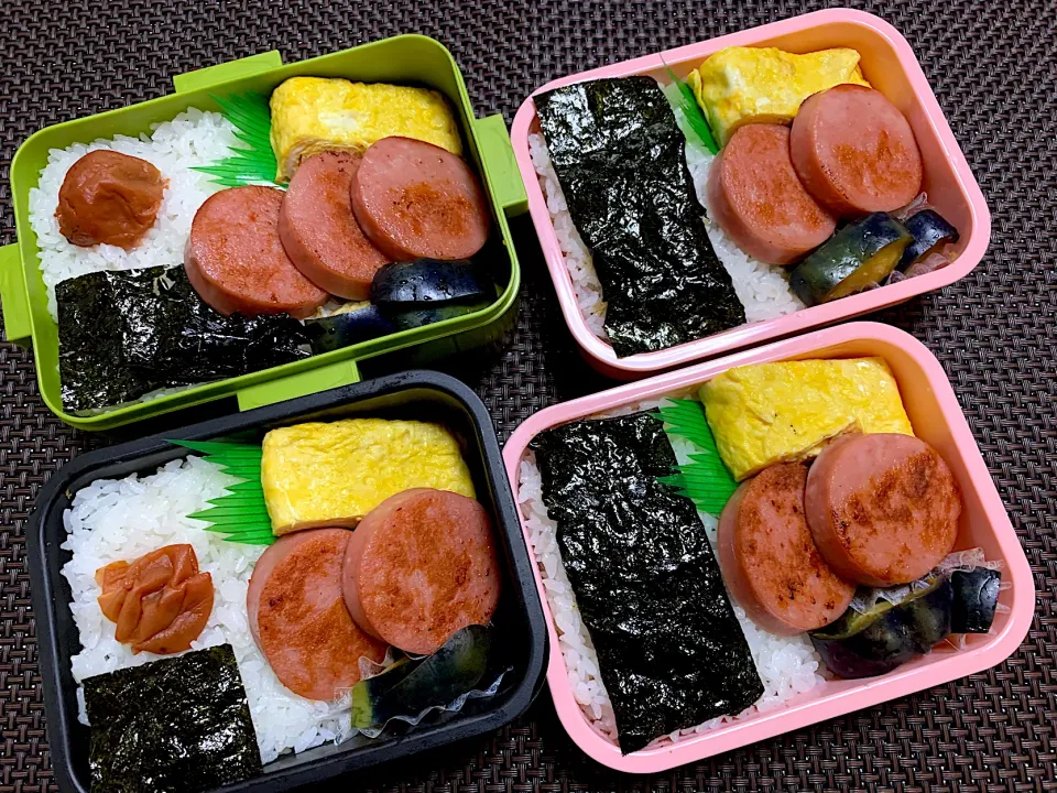 Snapdishの料理写真:ボロニアの海苔弁当|kiusoudaiさん