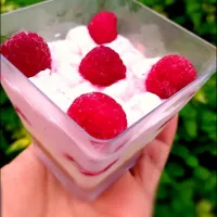 ice cream raspberry cookie and cream cheese|Janin Meeさん