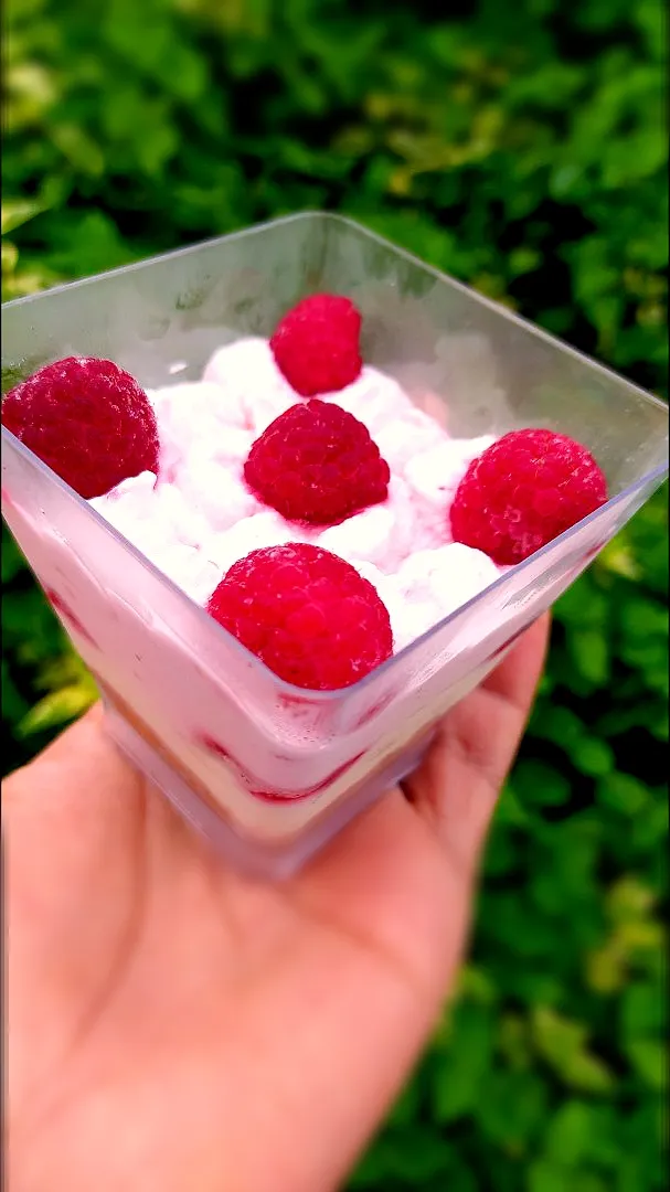 ice cream raspberry cookie and cream cheese|Janin Meeさん