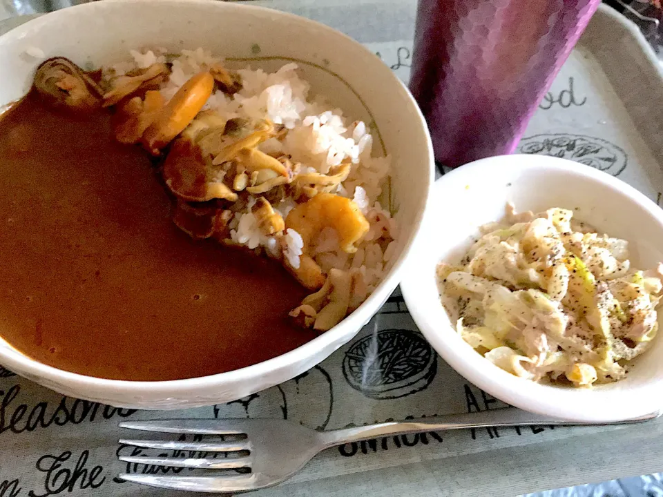 土産のカレーと、curryにはウチのコールスロー風サラダ❃ႣᄎႣ❃|あすか^ↀᴥↀ^さん