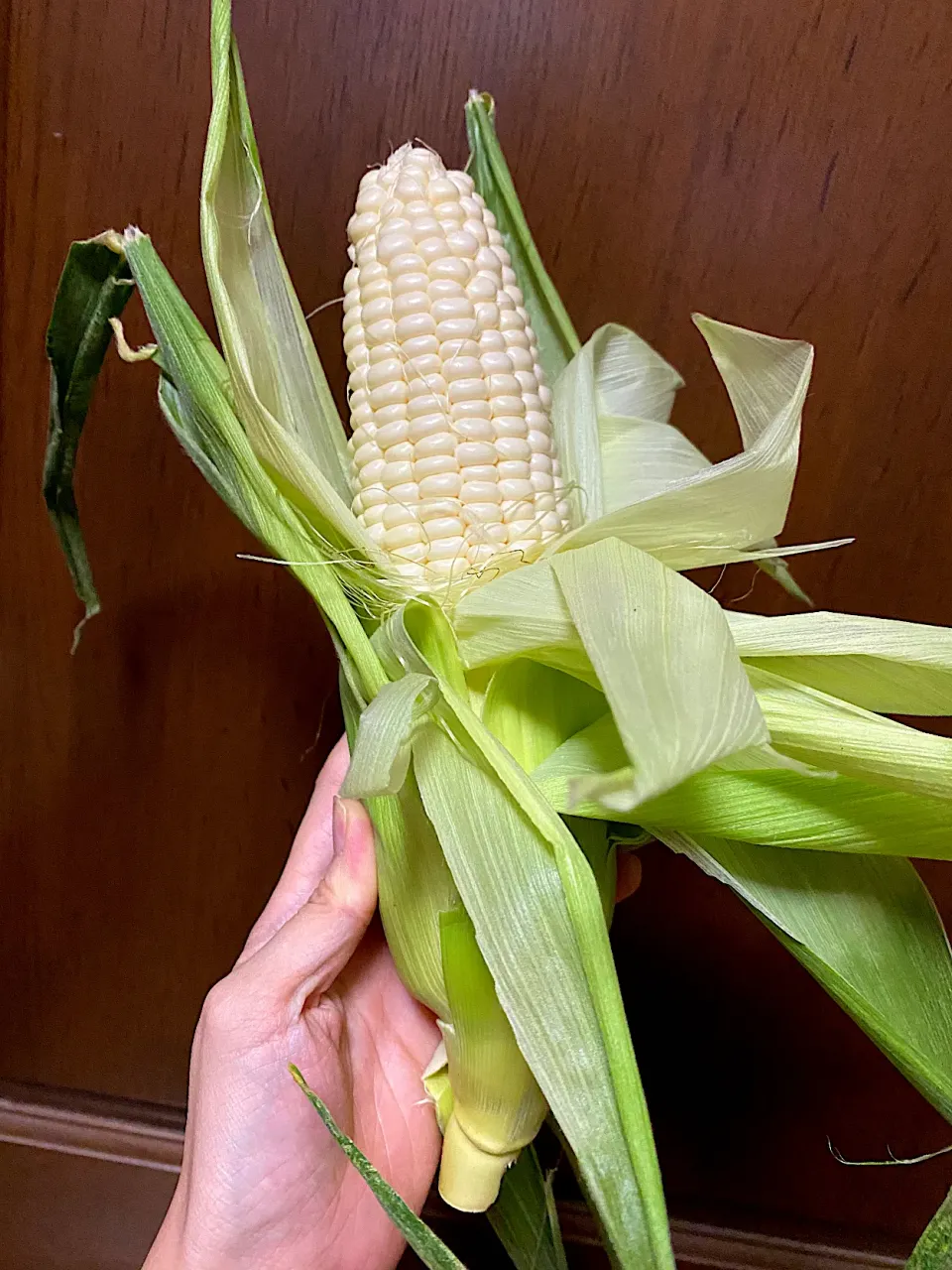 Snapdishの料理写真:富良野から白いとうもろこし🌽5月から待ちわびた〜！|1614さん