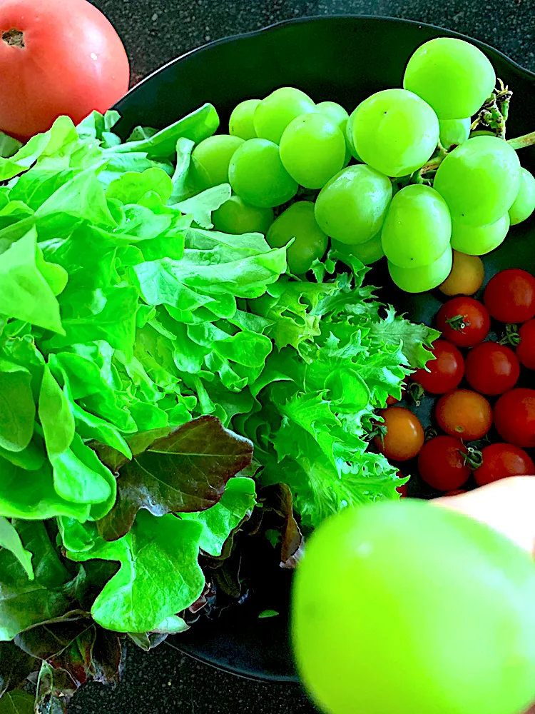 グリーンサラダとマスカット🍅|シュトママさん