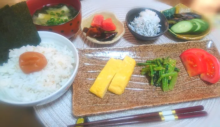 和 朝食 🌄|びせんさん