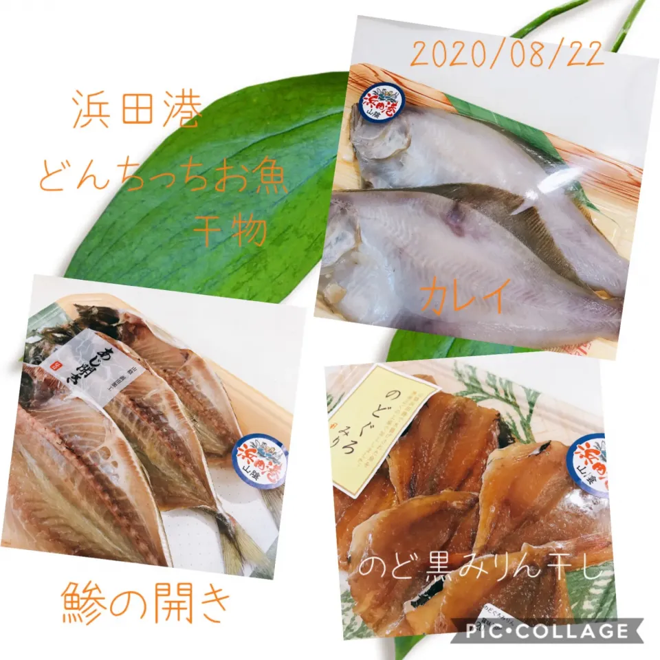 #浜田港どんちっち魚#カレイの干物#鯵の開き#のど黒のみりん干し|みすてりあすゆっこさん