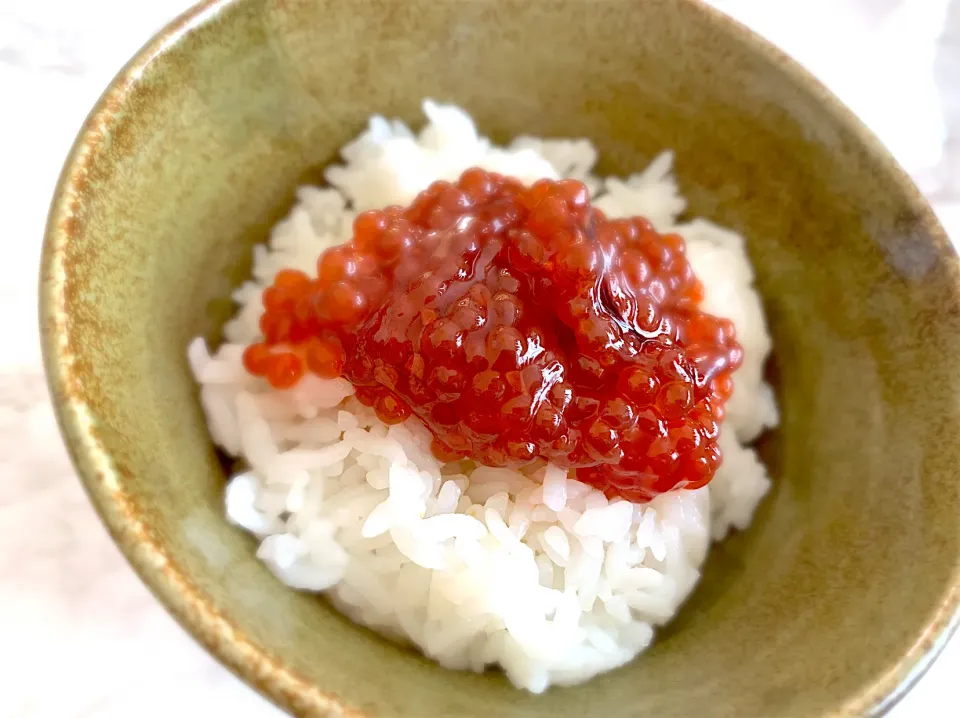 マス筋子　醤油漬けon炊きたてご飯♡|きらさん