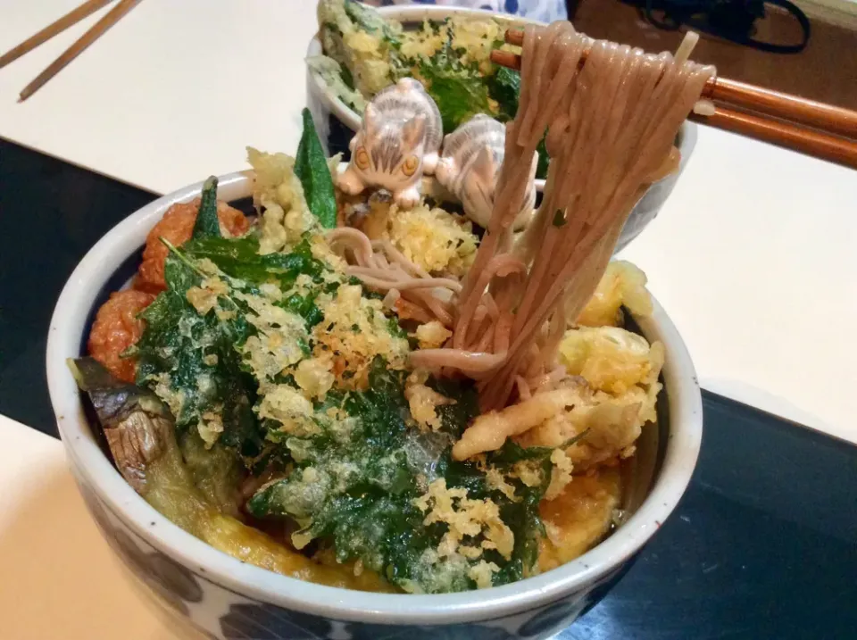 Snapdishの料理写真:冷たいお蕎麦で晩御飯。
オクラと、シソの葉、ネギとシメジの天ぷら、
なすの焼きびたしに、買ってきた紅生姜天をトッピング|Takeshi  Nagakiさん