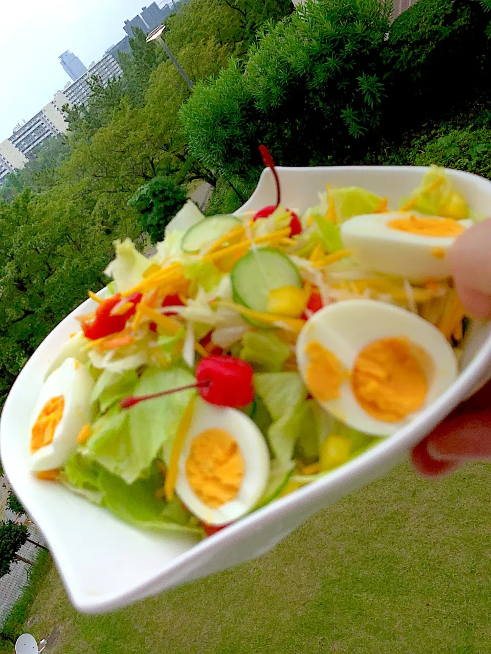 Snapdishの料理写真:サラダ🥗|シュトママさん